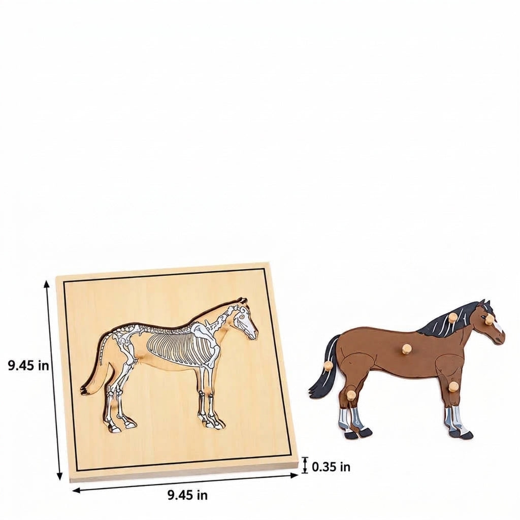 Knob Puzzles